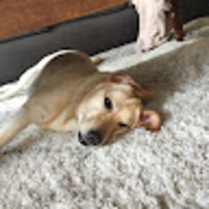 Meet your Posher, Jack